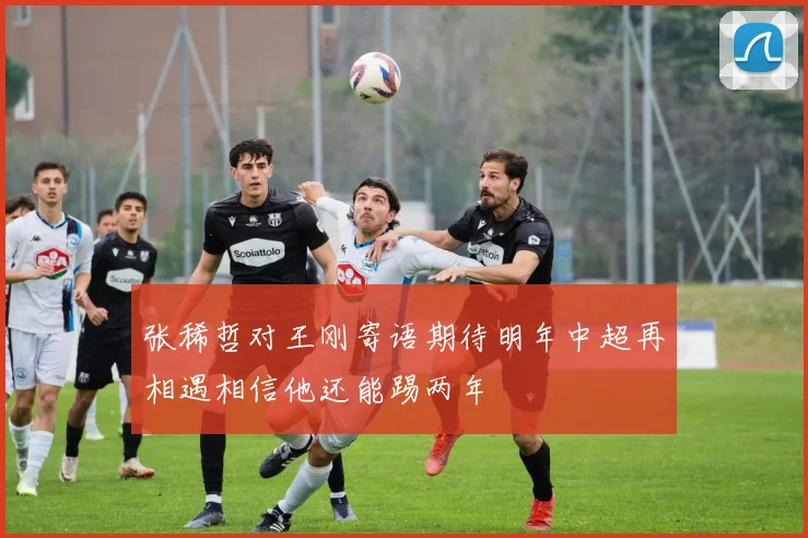 张稀哲对王刚寄语期待明年中超再相遇相信他还能踢两年