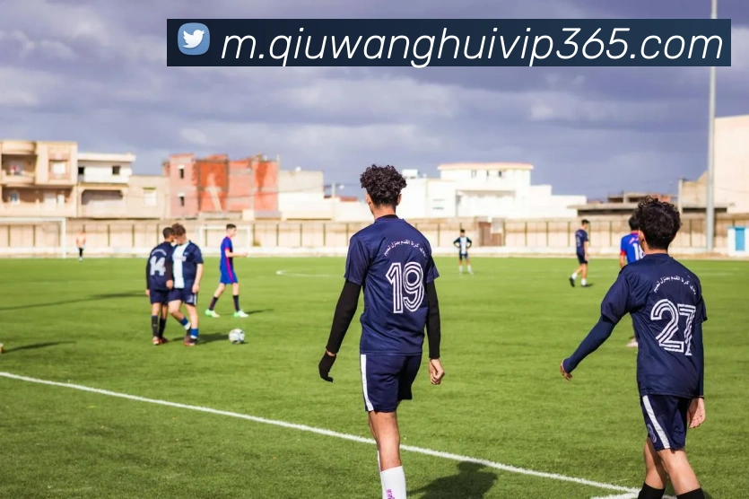 球王会体育平台生态图